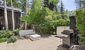 314 W Main St, Aspen, CO 81611