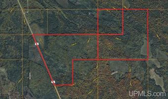 US 141 Road lot Lukes Road, Amasa, MI 49903