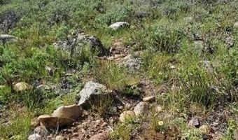 WHITE BEAR Road, Daniel, WY 83115