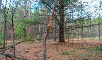 255 45 Ac Dover Dr, Adams, WI 53910