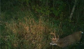 Xxx US Hwy 8, Almena, WI 54805