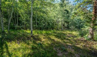 285 Conundrum Rd, Aspen, CO 81611