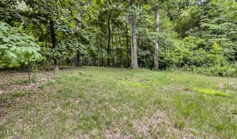 15775 Elm Row Rd, Albion, MI 49224