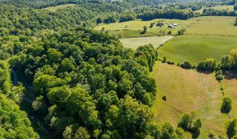Alvarado Rd lot, Abingdon, VA 24211