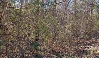 1163 Juneberry Rd, Camden, SC 29020