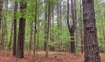 945 NEPTUNE Trl, Appling, GA 30802