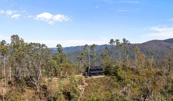41 Windy Ridge Trl, Asheville, NC 28804