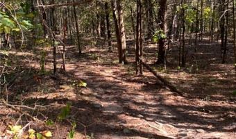 Duvall Road, Atkins, AR 72823