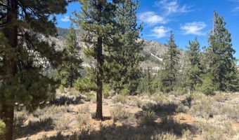 130 Chamberlain Ct Lot 189, Carson City, NV 89705