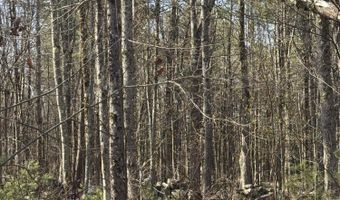 Bolton Hill Road lot 88, Augusta, ME 04330