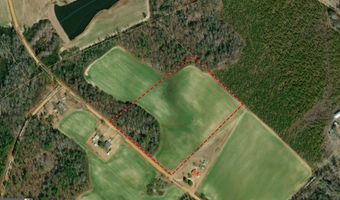 12 37 Acres- Lo Perry Horton, Adrian, GA 31002