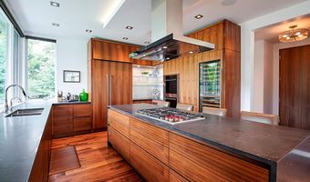 1520 Homestake Dr, Aspen, CO 81611