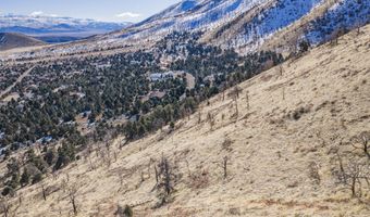 3221 Reese Ln, Gardnerville, NV 89410