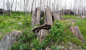 2025 Granite Rd, Bellvue, CO 80512