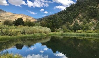 13300 Willard Creek Ranch Rd, Ely, NV 89311