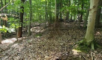 M22 Northwood Hwy, Arcadia, MI 49613