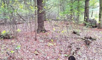 Parcel 2 Lakeshore Road, Applegate, MI 48401