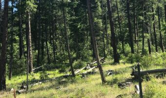 41 Quiet Rd, Athol, ID 83801