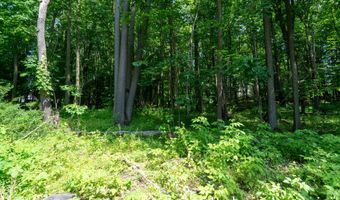 1016 MAPLE HILL Ave SE, Ada, MI 49301