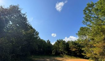 0 Military Rd, Beaverton, AL 35544