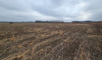 0 Bell Rd LOT 6C, Bishopville, SC 29010