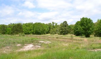S HWY 69, Alba, TX 75410