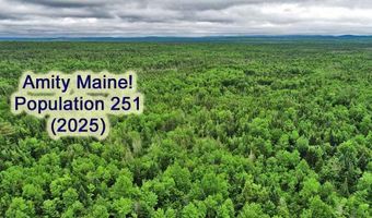 823 US RT 1, Amity, ME 04471