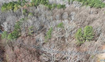 002 Toney Dr, Altoona, AL 35952