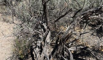 Carp Road, Caliente, NV 89008