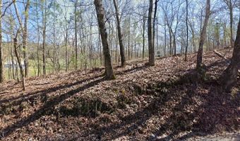951 Harley Trl, Ball Ground, GA 30107