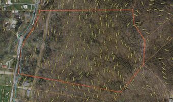 TBD Paint Fork Rd, Barnardsville, NC 28709