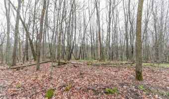 5503 MORGAN Rd, Amherst, WI 54406