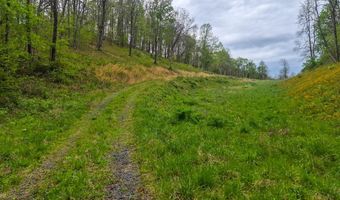 2789 Dry Fork Rd, Bandy, VA 24602