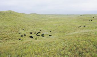 755 90 +/- Acres, Arnold, NE 69120
