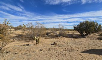 19688 S Diamondback Rd, Yucca, AZ 86438
