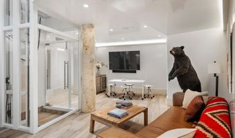 63 Smuggler Grv, Aspen, CO 81611