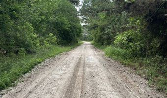 R15685 Moore Cemetery Road, Apple Springs, TX 77519