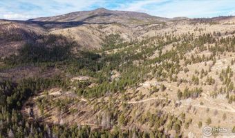 0 Cougar Cir Ct, Bellvue, CO 80512