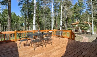 63 Cimarron Trl, Angel Fire, NM 87710