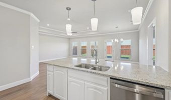1033 Nighthawk Trl, Alvarado, TX 76009