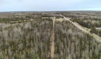 5280 Cathro Rd, Alpena, MI 49707