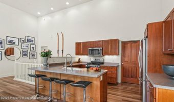 536 Evans Ct, Basalt, CO 81621