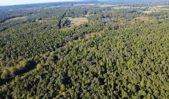51 Shelton Rd, Bee Branch, AR 72013