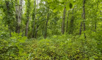 V/L 60th St Par C, Alto, MI 49302