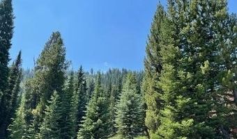 28 LOW DOG Rd, Big Sky, MT 59716
