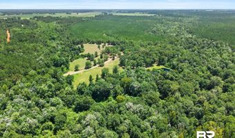 3470 Bell Fork Rd, Atmore, AL 36502