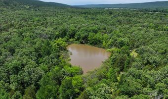 001 N 4220 Rd, Antlers, OK 74536