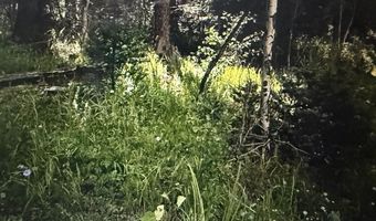 Elk Ridge Road lot 23, Angel Fire, NM 87710