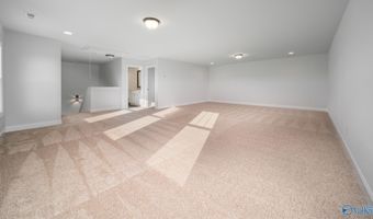 17425 Brooklawn St, Athens, AL 35611