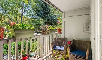 5203 Elk Ln, Basalt, CO 81621